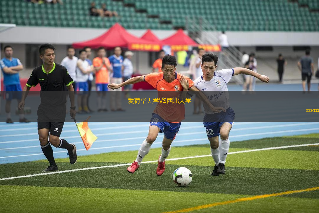 爱荷华大学VS西北大学