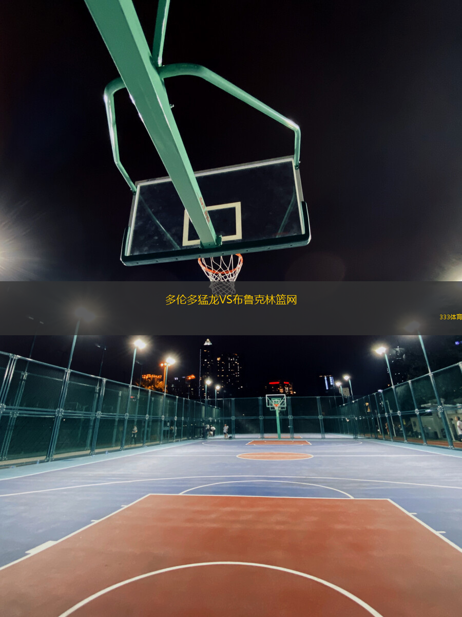 多伦多猛龙VS布鲁克林篮网